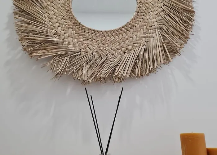 Valma 비아나도카스텔로